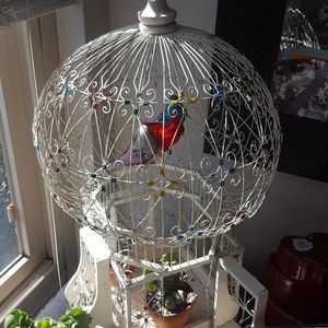 Meet your Posher, Ian